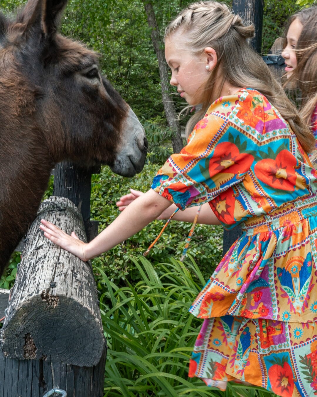 Georgia Dress-Briton Court
