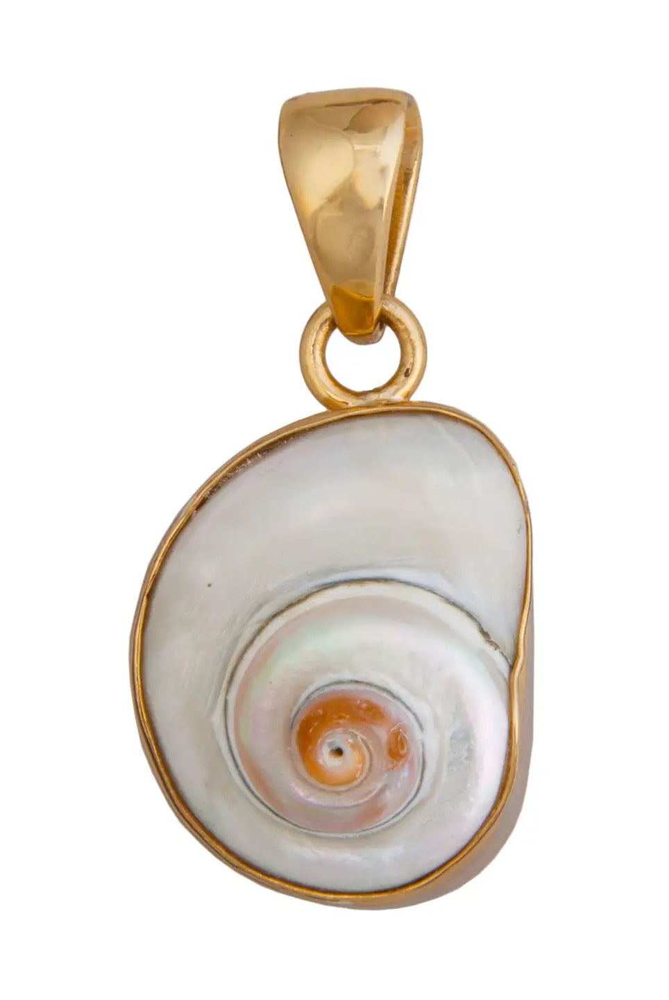 CINNERUS SHELL PENDANT-Briton Court
