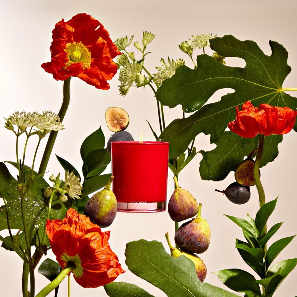 Fig and Olive Leaf Petite Candle-Briton Court