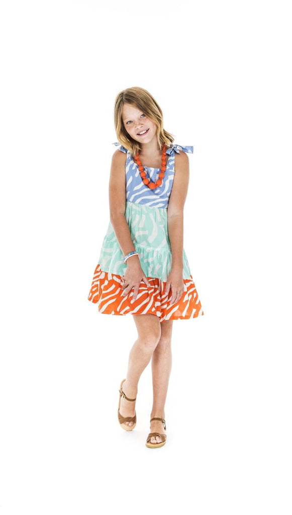Girl is colorful color block zebra dress