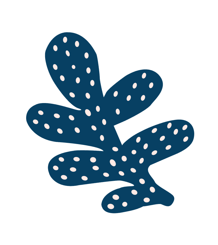 Find a Store Near You Briton Court